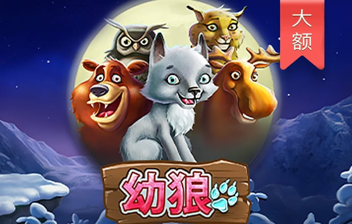 55世纪官方网